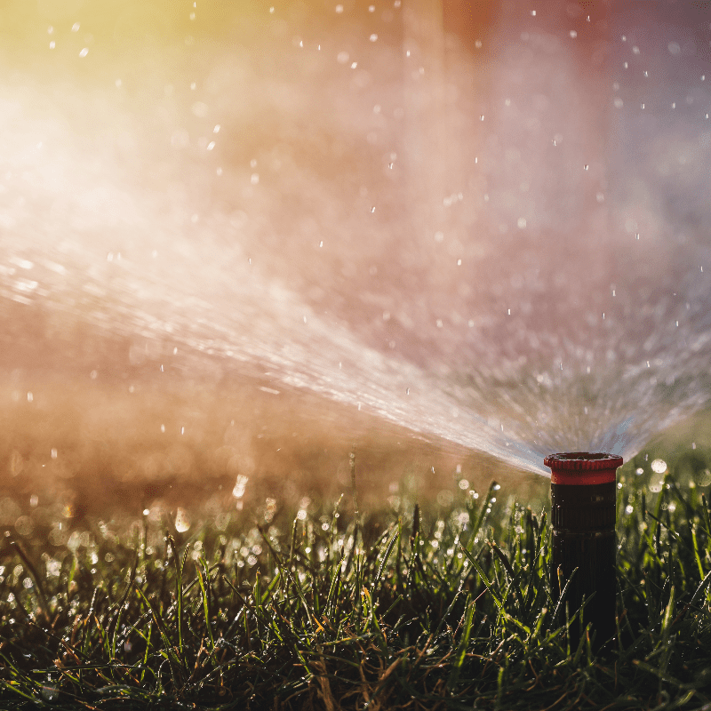 Close-up of a sprinkler head watering a lush green lawn, with water droplets glistening in the warm sunlight. The spray of water fans out, creating a refreshing and vibrant scene, symbolizing healthy growth and efficient irrigation